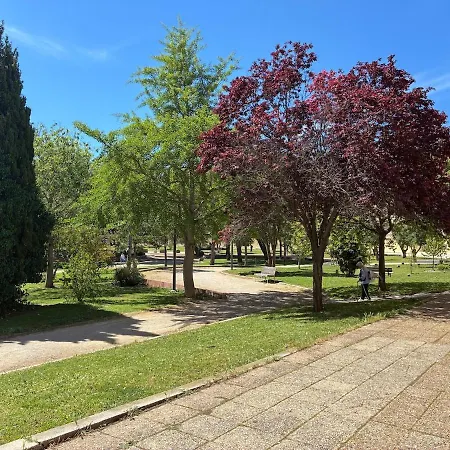 Lejlighed 25m2 A Deux Pas Des Thermes Balaruc-les-Bains